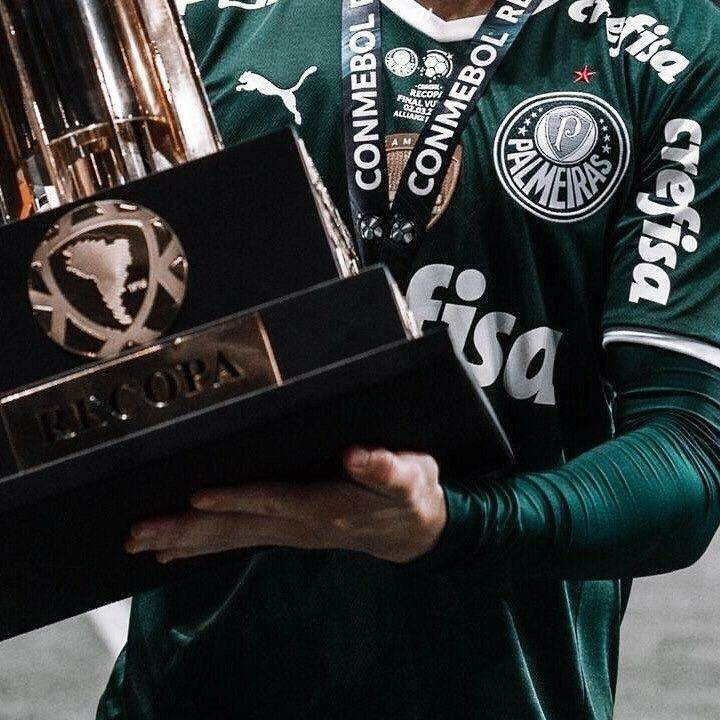 palmeiras